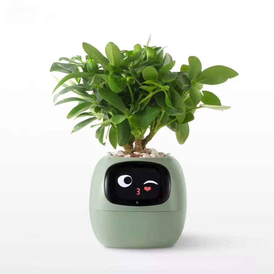 PLANTSIO Ivy Gen 2 智能花盆-3