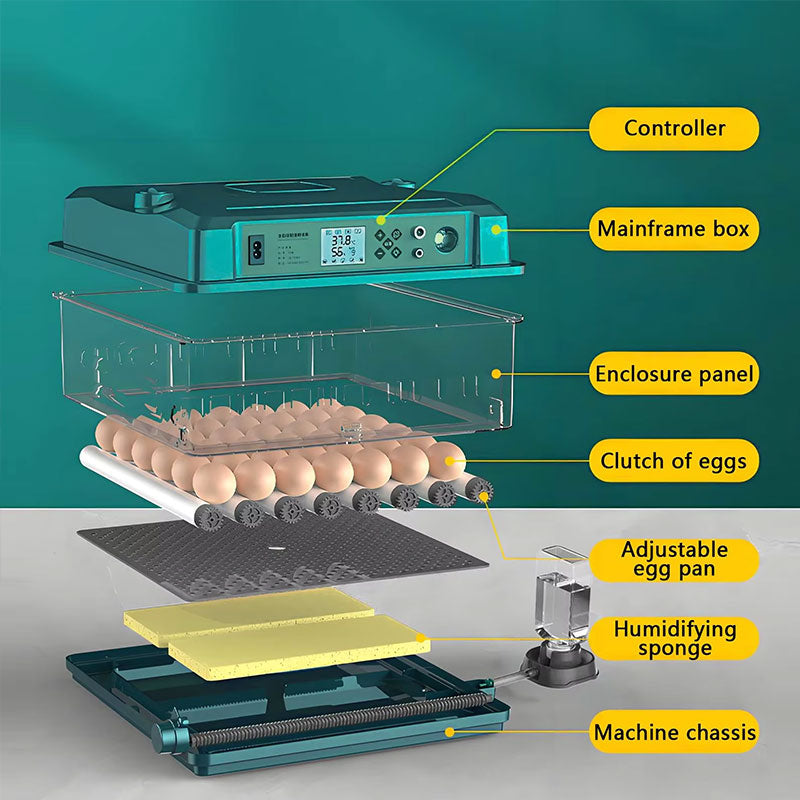 24/36 Egg Incubator Fully Automatic, Auto Turner & Temp Control, Dual Power 220V/12V Mini Poultry Hatcher for Chicken Duck-6