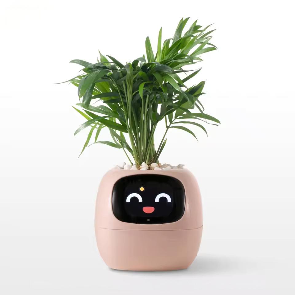 PLANTSIO Ivy Gen 2 智能花盆-1