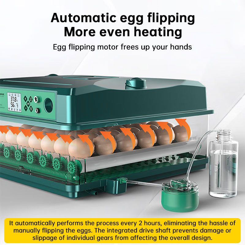 24/36 Egg Incubator Fully Automatic, Auto Turner & Temp Control, Dual Power 220V/12V Mini Poultry Hatcher for Chicken Duck-7
