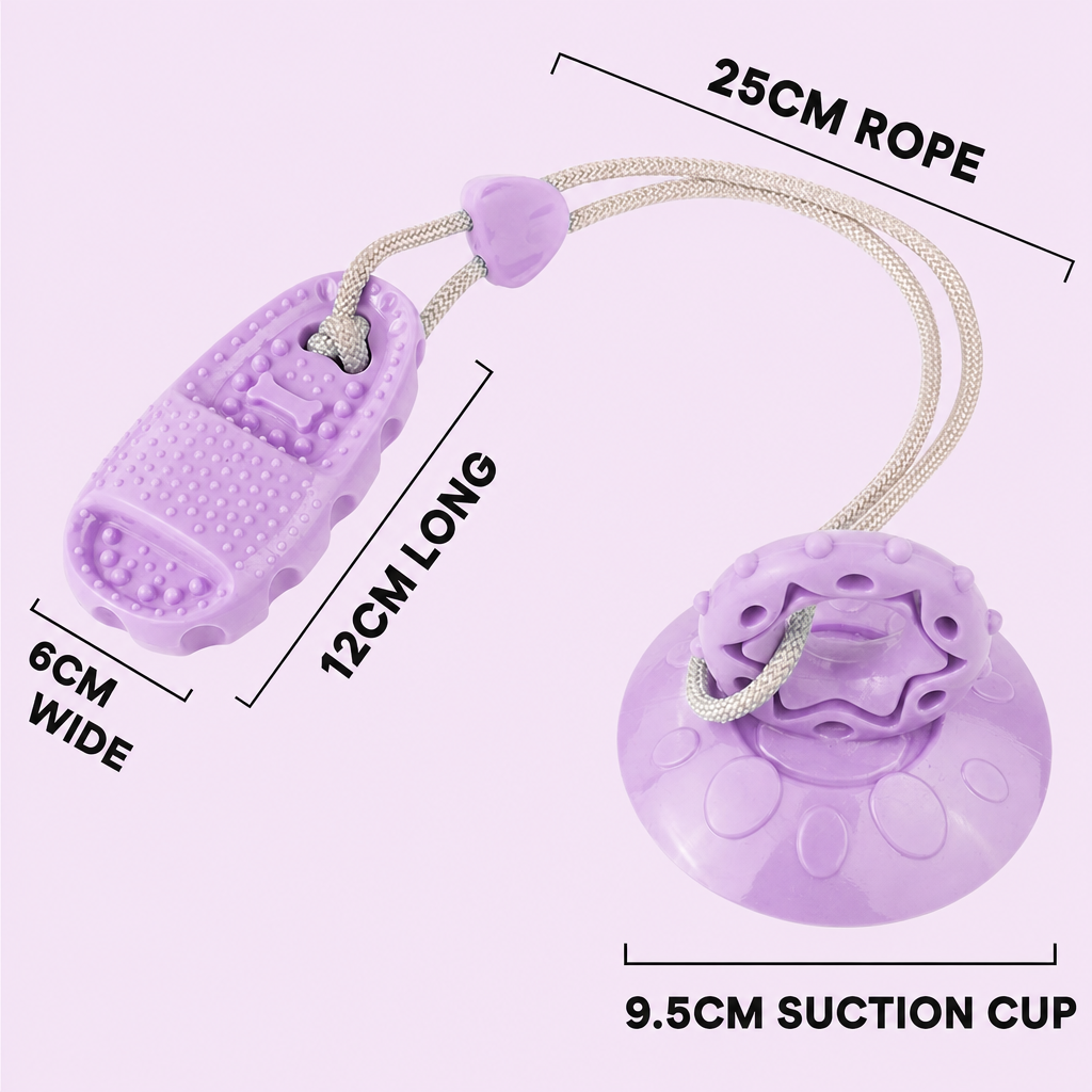 Squeaky suction cup chew ball-11
