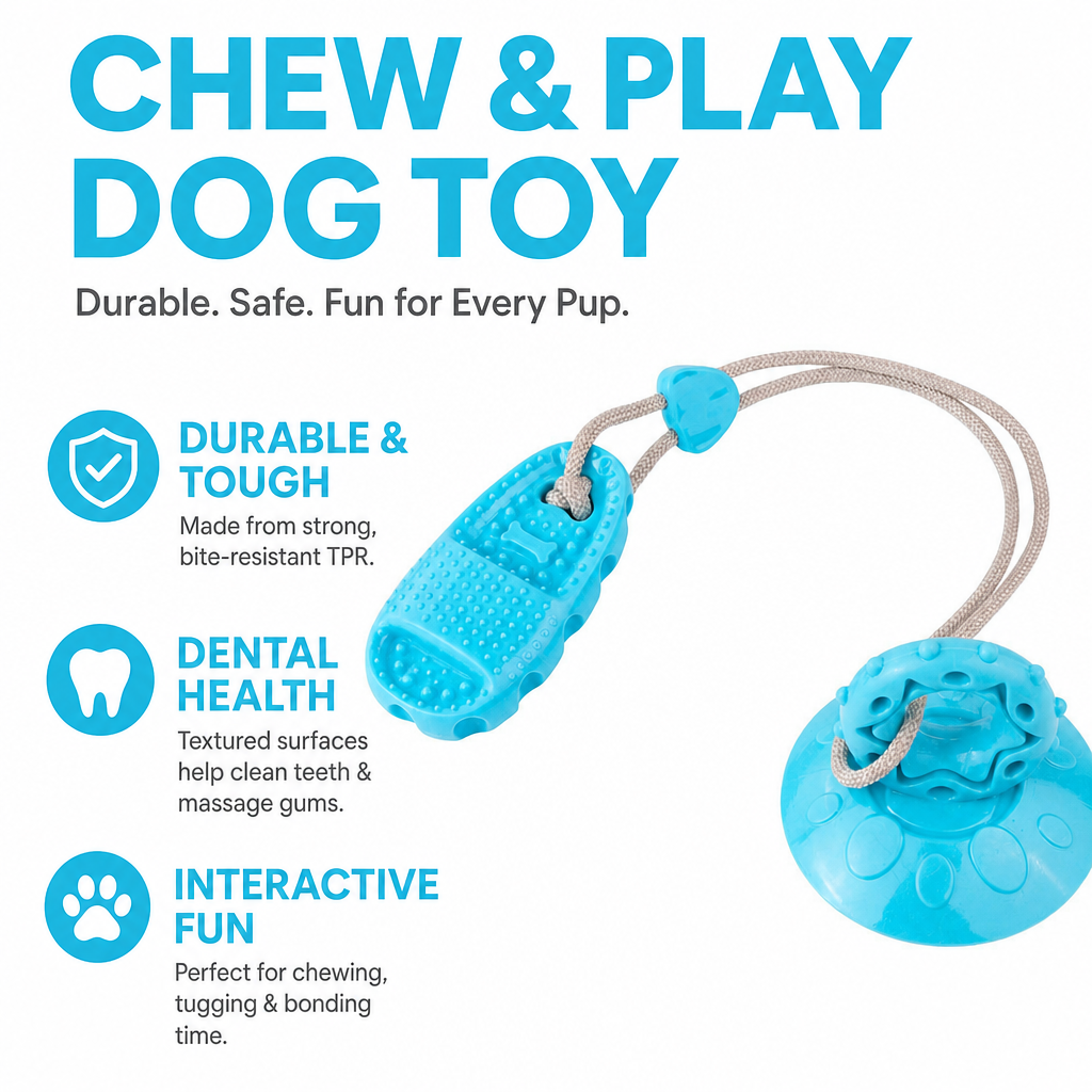 Squeaky suction cup chew ball-5