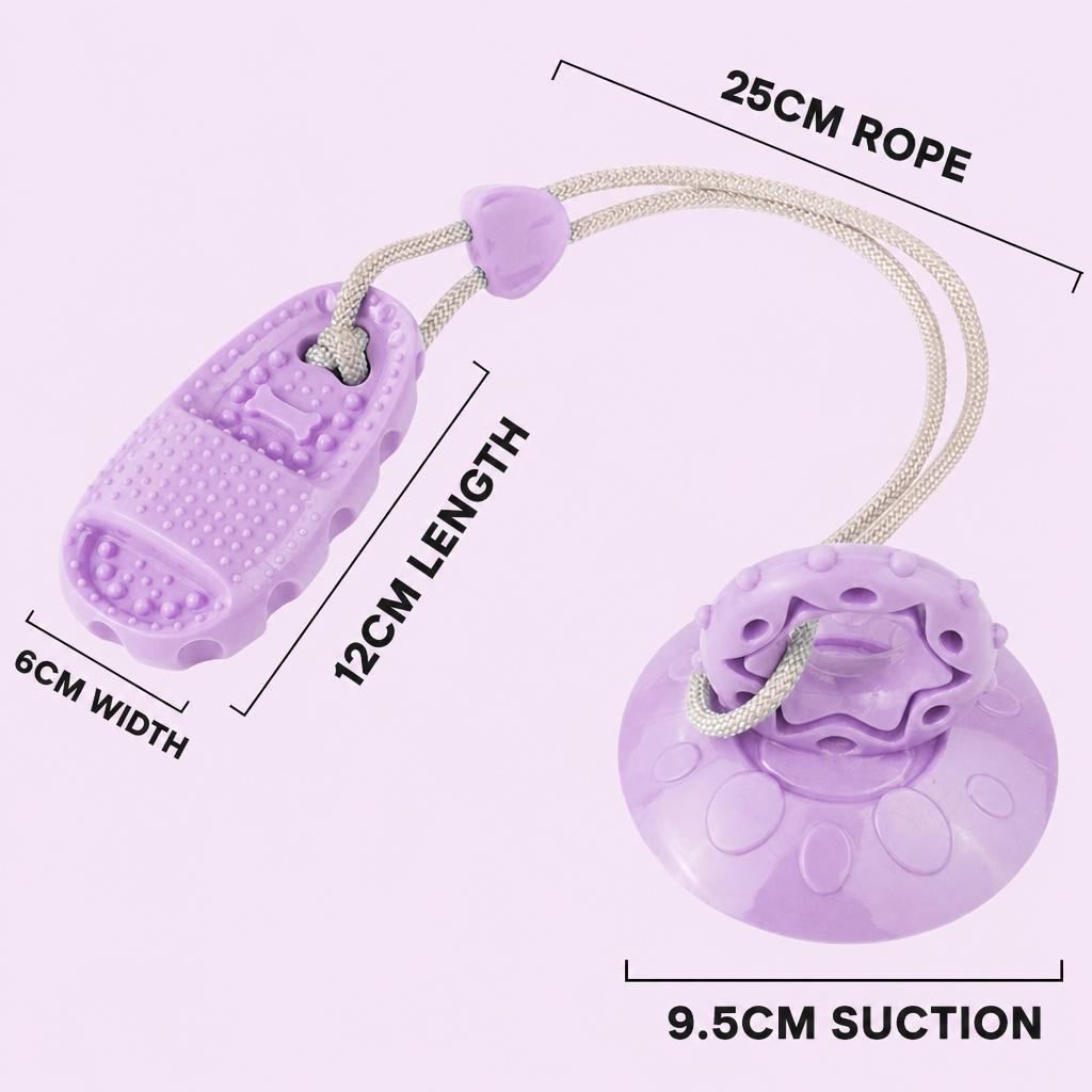 Squeaky suction cup chew ball-7