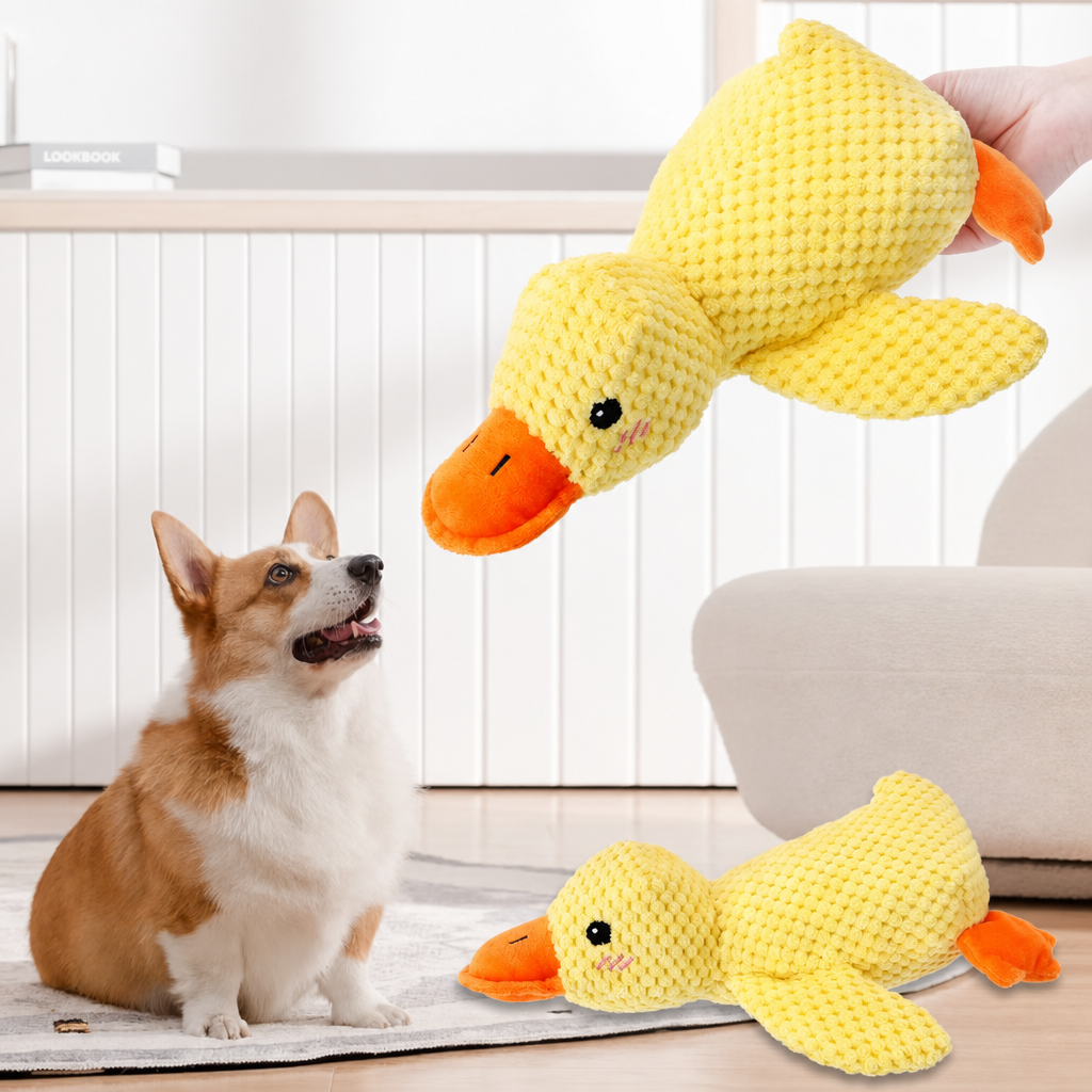 Squeaky duck plush dog toy-1