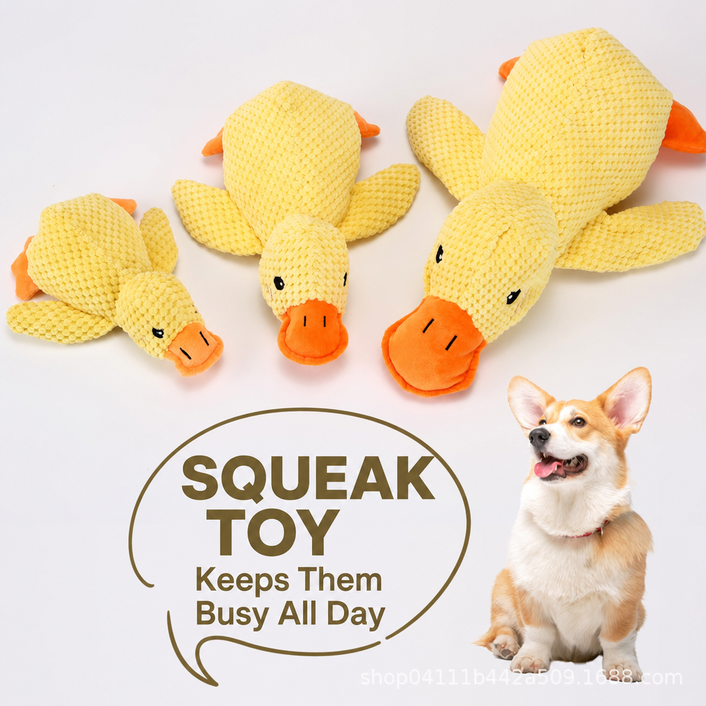 Squeaky duck plush dog toy-2