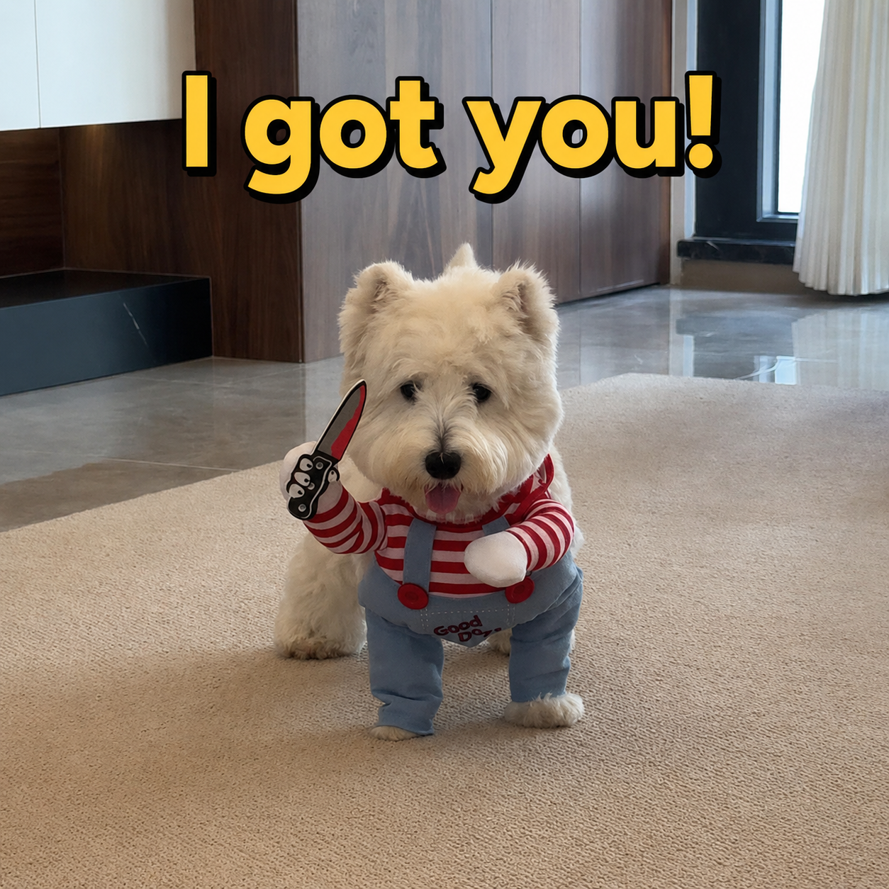 Funny Two-legged Dog Costume-6