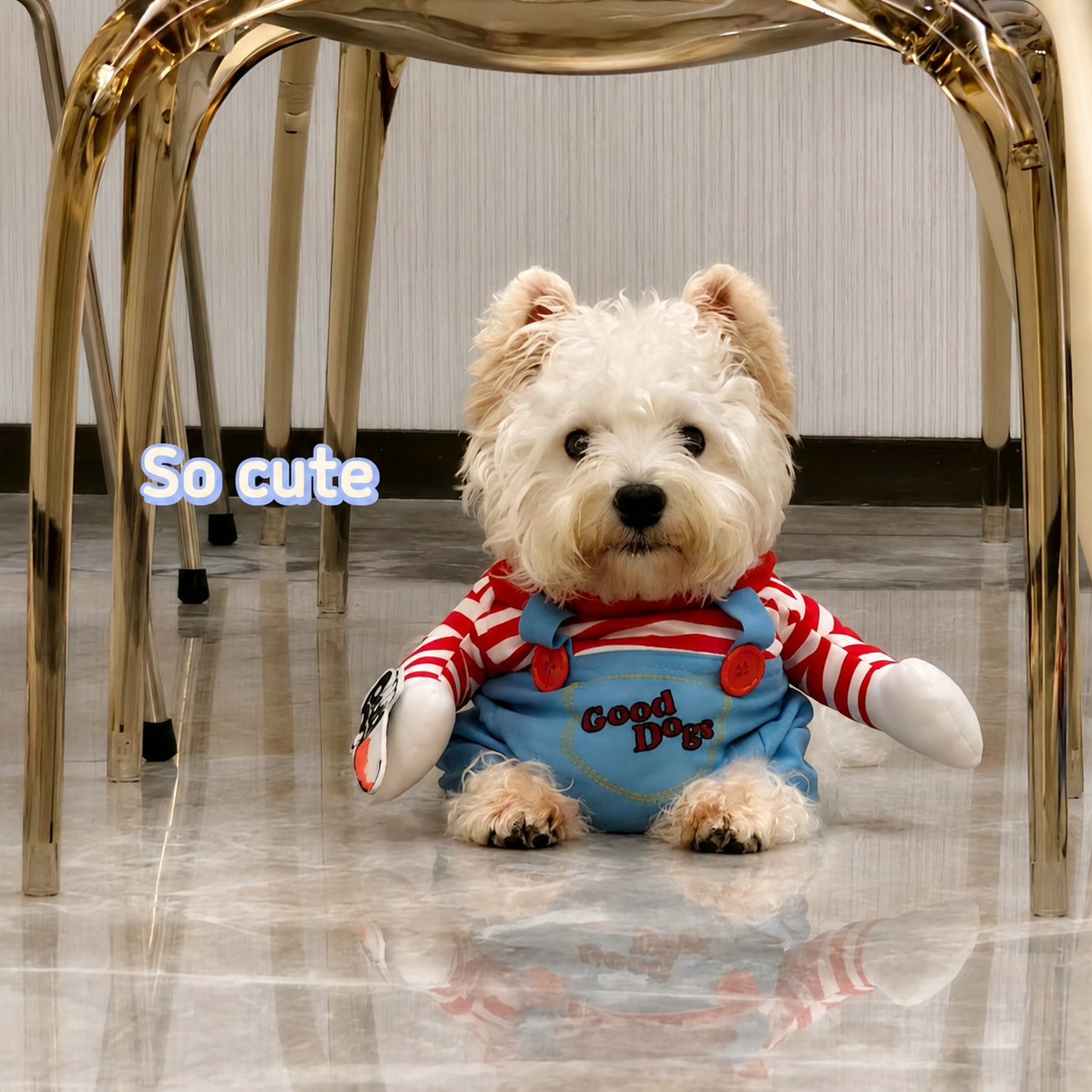 Funny Two-legged Dog Costume-3