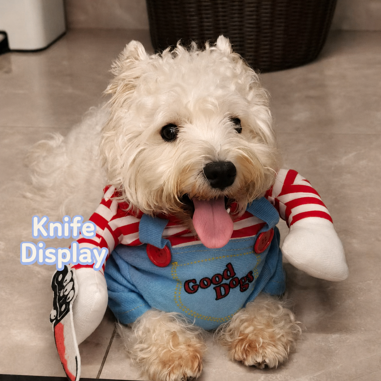 Funny Two-legged Dog Costume-4