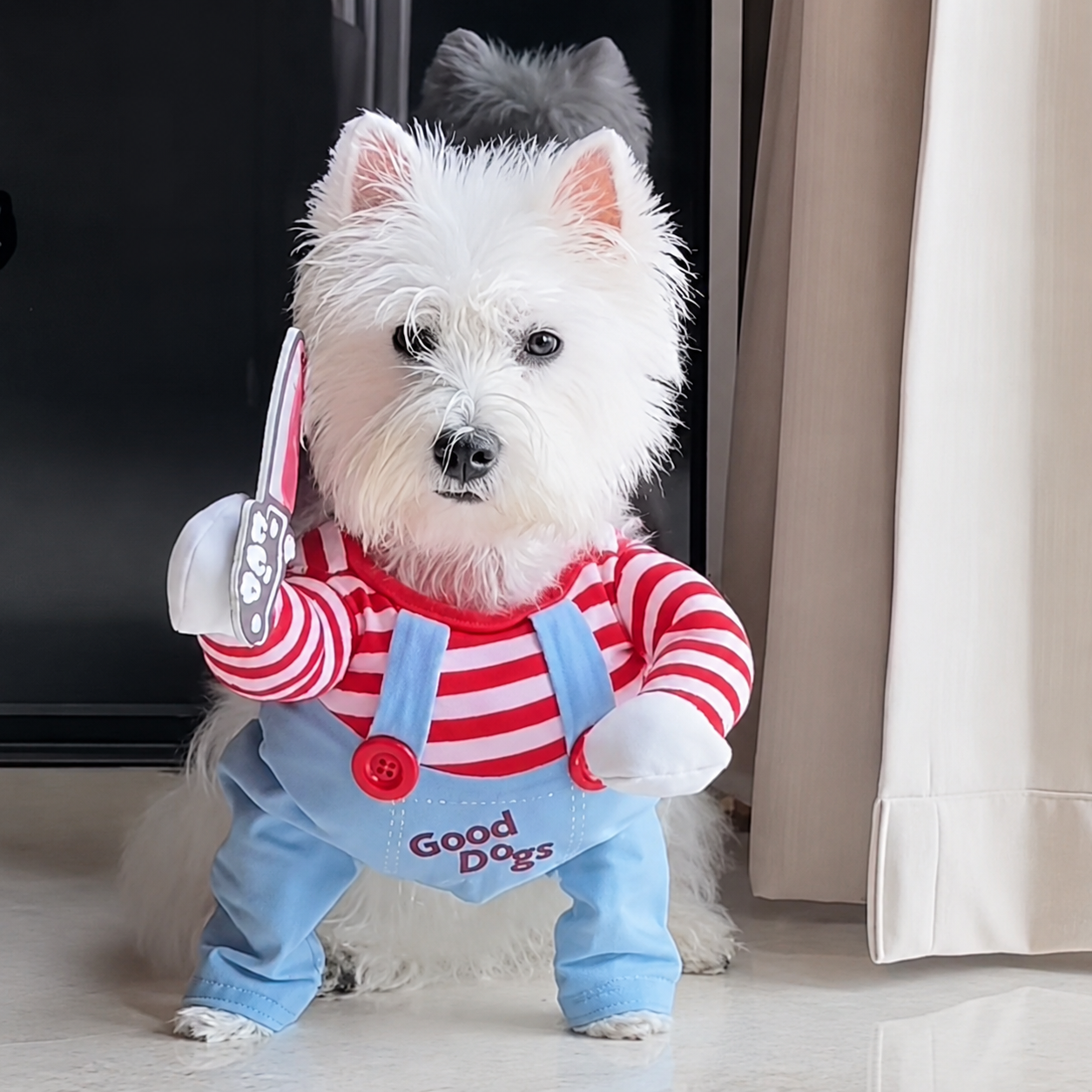Funny Two-legged Dog Costume-5