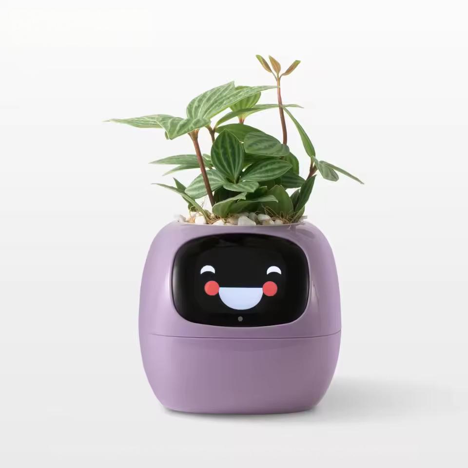 PLANTSIO Ivy Gen 2 智能花盆-4