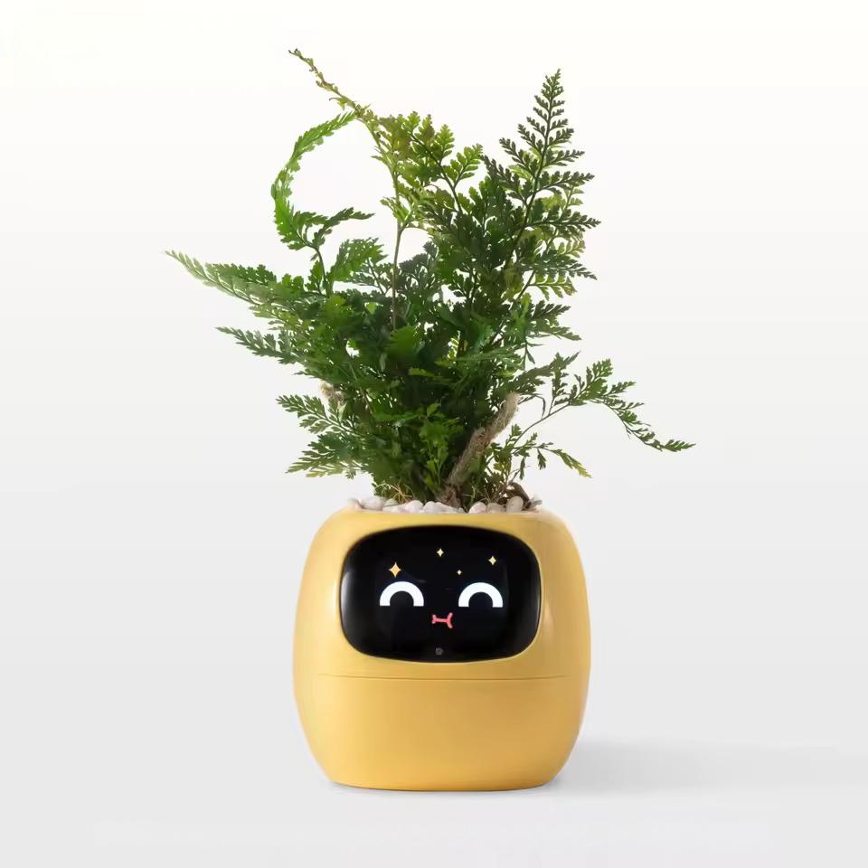 PLANTSIO Ivy Gen 2 智能花盆-2