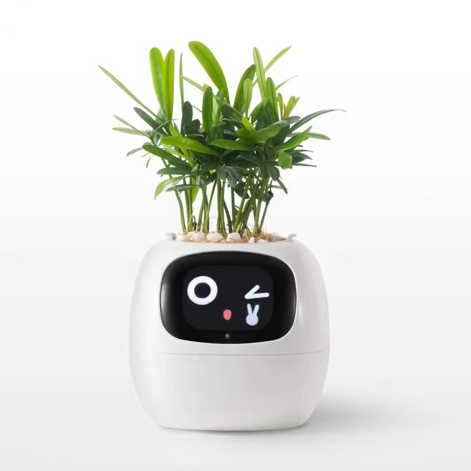PLANTSIO Ivy Gen 2 智能花盆-5