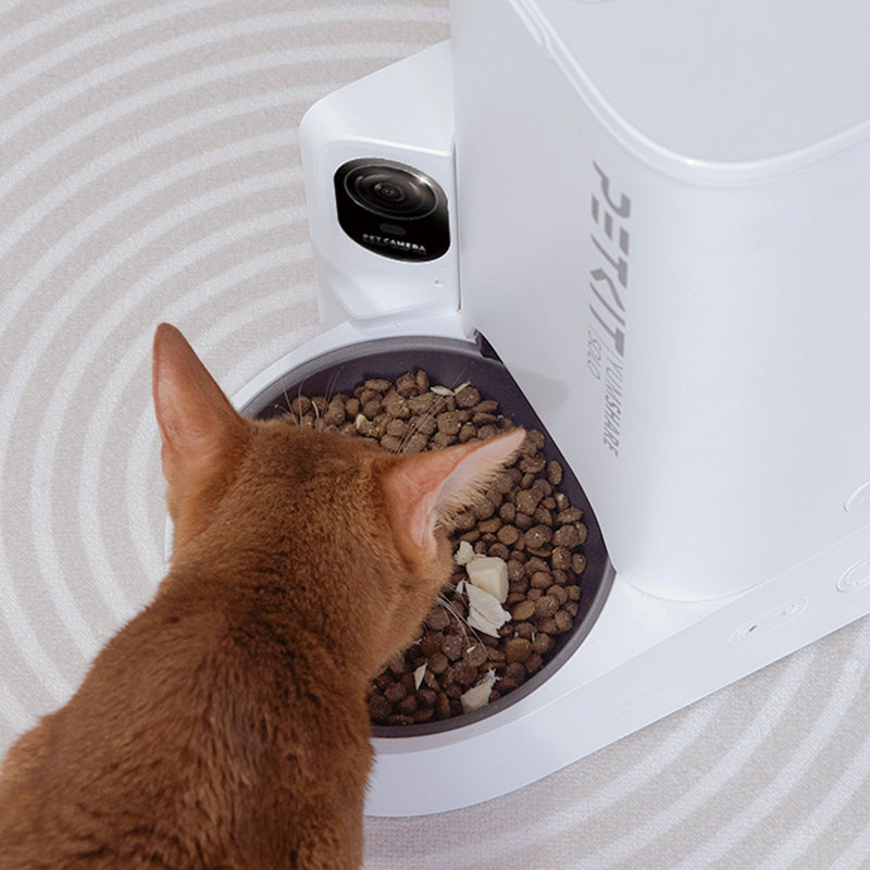 Petkit YumShare Solo Automatic Feeder with Camera-11